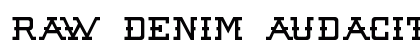 Raw Denim Audacity Regular preview