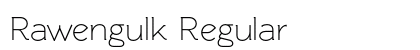 Rawengulk Regular preview