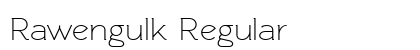 Rawengulk Regular preview