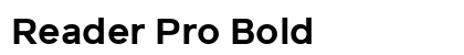 Reader Pro Bold preview