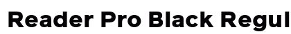 Reader Pro Black Regular preview