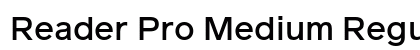 Reader Pro Medium Regular preview