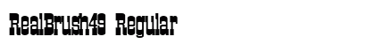 RealBrush49 Regular preview