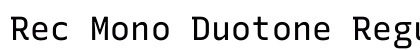 Rec Mono Duotone Regular Preview