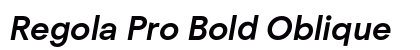 Regola Pro Bold Oblique Preview