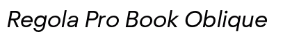 Regola Pro Book Oblique preview