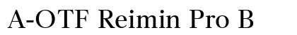 A-OTF Reimin Pro B preview