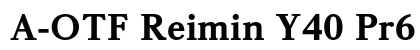 A-OTF Reimin Y40 Pr6 EH preview