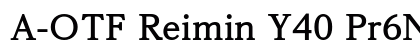 A-OTF Reimin Y40 Pr6N B Preview