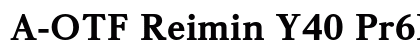 A-OTF Reimin Y40 Pr6N EH preview