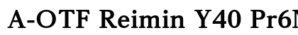 A-OTF Reimin Y40 Pr6N H preview