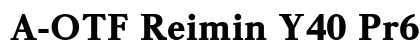 A-OTF Reimin Y40 Pr6N U preview
