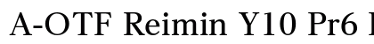 A-OTF Reimin Y10 Pr6 B preview
