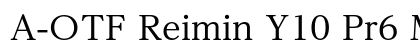 A-OTF Reimin Y10 Pr6 M preview