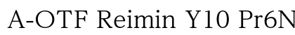 A-OTF Reimin Y10 Pr6N R preview