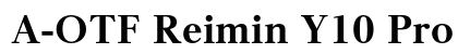 A-OTF Reimin Y10 Pro EH preview