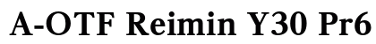A-OTF Reimin Y30 Pr6 EH preview