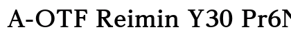 A-OTF Reimin Y30 Pr6N EB Preview