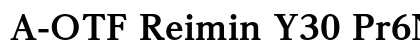 A-OTF Reimin Y30 Pr6N H preview