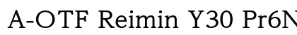 A-OTF Reimin Y30 Pr6N M Preview