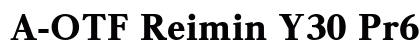 A-OTF Reimin Y30 Pr6 U preview