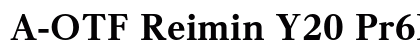 A-OTF Reimin Y20 Pr6N EH preview