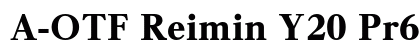 A-OTF Reimin Y20 Pr6 U preview