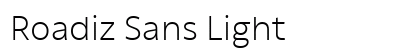 Roadiz Sans Light preview