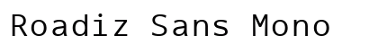 Roadiz Sans Mono Preview