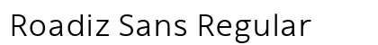 Roadiz Sans Regular Preview