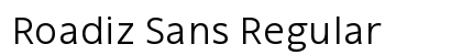 Roadiz Sans Regular Preview