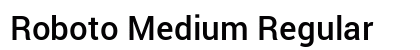 Roboto Medium Regular preview
