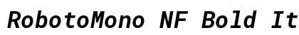 RobotoMono NF Bold Italic Preview