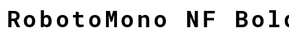 RobotoMono NF Bold preview