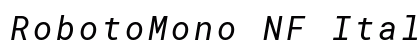 RobotoMono NF Italic preview