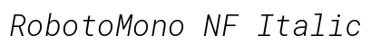 RobotoMono NF Italic preview