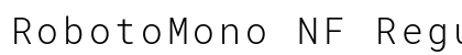 RobotoMono NF Regular preview
