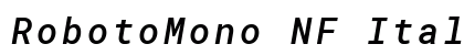 RobotoMono NF Italic preview