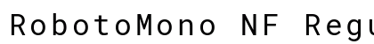 RobotoMono NF Regular preview