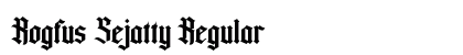 Rogfus Sejatty Regular preview