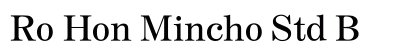 Ro Hon Mincho Std B preview