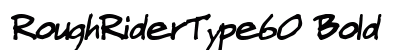 RoughRiderType60 Bold Preview