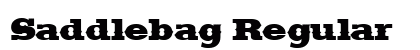 Saddlebag Regular preview