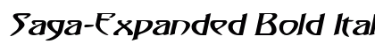 Saga-Expanded Bold Italic preview