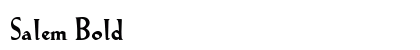 Salem Bold Preview
