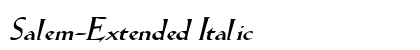 Salem-Extended Italic Preview