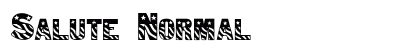 Salute Normal Preview