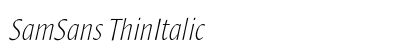 SamSans ThinItalic preview