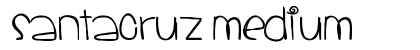 SantaCruz Medium preview
