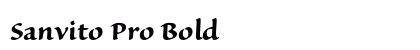 Sanvito Pro Bold Preview